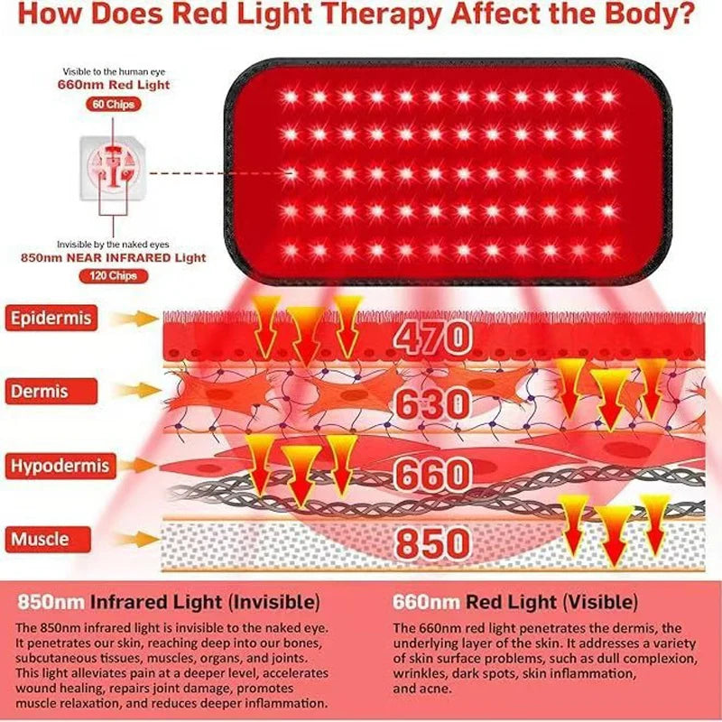 Red Light Therapy Belt