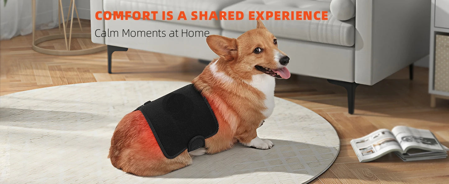 Red Light Therapy Belt